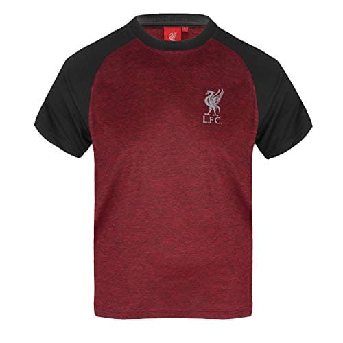 Image of Liverpool FC T-Shirt Boys Poly - Official Gift - Red Marl 2-3 Years