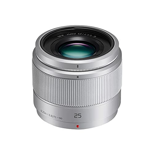 Image of Panasonic LUMIX H-H025E-K 25 mm Micro Four Thirds Camera Lens for G Series - Silver