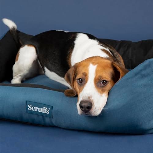 Image of Scruffs Expedition Waterproof Travel Dog Box Bed (L)
