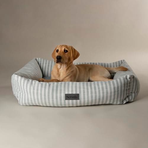 Image of Scruffs Coastal Dog/Pet Box Bed (XL)