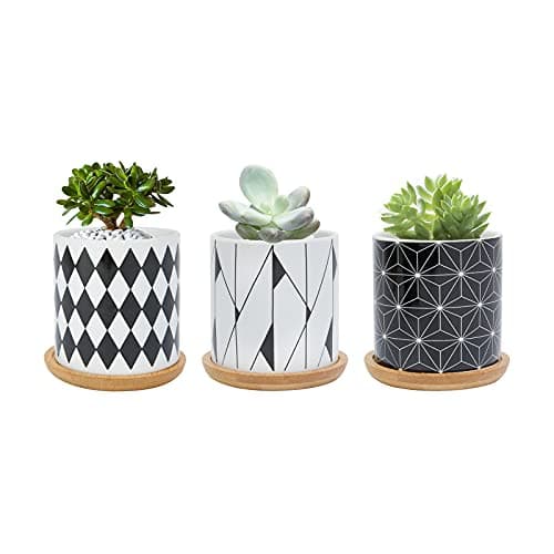 Image of FORAGIFT 7.5CM Succulent Plant Pot, Ceramic Geometric Pattern Cactus Plants Pot, Small Plant Pots for Indoor Outdoor Plants with Bamboo Tray, and Great for Home Office Decor, Set of 3