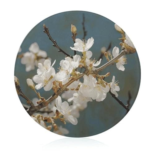 Image of Almond Blossom Cutting Board for Kitchen Small Non Slip Tempered Glass Cutting Mat Heat Resistant Chopping Board for Cutting Meats Fruits Vegetables 7.9" X 7.9"