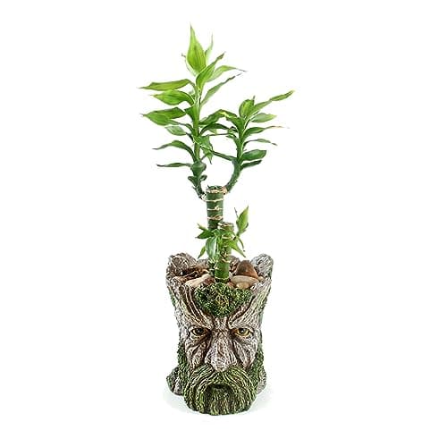 Image of Youfui Funny Planter Head Planter with Drainage Hole Resin Plant Pot Pencil Holder Desk Storage(Mustache Man)