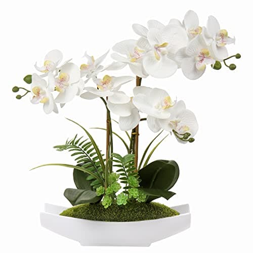 Image of Briful White Orchid Artificial Flowers in Pot - Fake Orchid White Silk Phalaenopsis Flower Arrangement - Artificial Orchid Plant Indoor for Home Office Kitchen Bedroom Wedding Decor