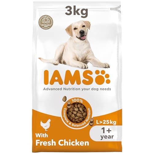 Image of IAMS Adult Large Complete Dry Dog Food Chicken 3kg - With DentalCare System