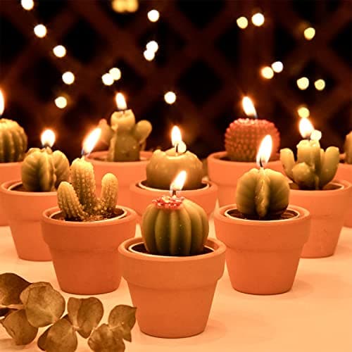 Image of Cactus Tealight Candles Bridal Shower Gifts Boho Mexican Party Decorations Succulent Candle Mini Tea Light Baby Shower Favors Novelty Fiesta Terrarium Plant Candles Bulk
