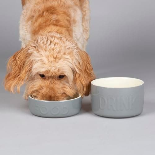 Image of Scruffs Classic 2 Piece Dog Food & Water Bowl Set - 15cm each - Grey