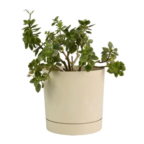 Image of B2C Plant Pots Indoor Outdoor Plastic Marble Concrete Flowerpot Small Medium Large Tubo 5 Colours (18 cm, Cream)