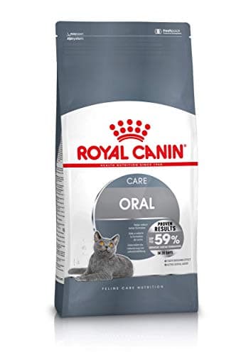 Image of Royal Canin Dental Care Dry Cat Food 8kg