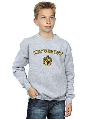 Image of Harry Potter Boys Hufflepuff Crest Sweatshirt Sport Grey 3-4 Years