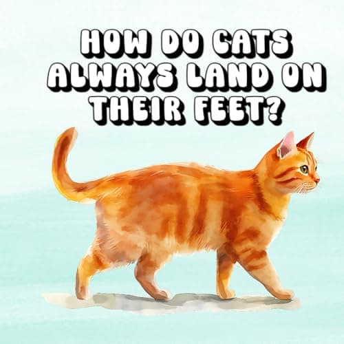 Image of How Do Cats Always Land on Their Feet?