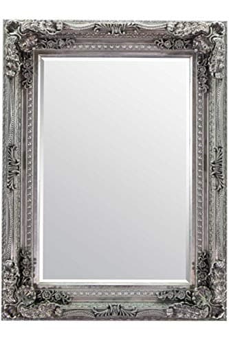 Image of Gallery Carved Louis Mirror Silver 47x35.5 BL-5055299406342, 122x90