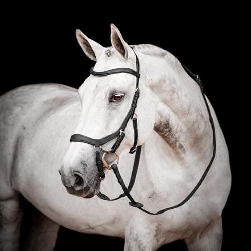 Image of Horseware Micklem 2 Competition Bridle Black X Full, Black