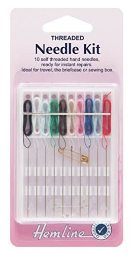 Image of Hemline H693 | 10 Assorted Threaded Needle Kit with 2 Buttons,