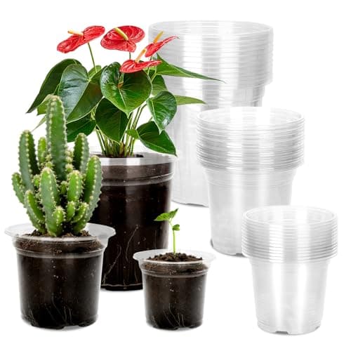 Image of KINGLAKE 15 Pcs Plastic Plant Pots Clear Orchid Pots, 9/10/12.7cm Nursery Pots Small Flower Seedling Pots for Potting Orchids Seed Cutting Succulents, Mixed Sizes