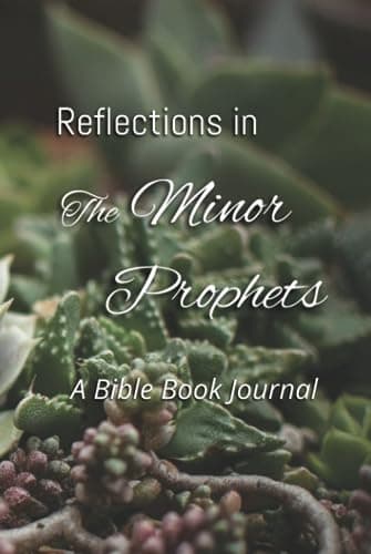 Image of Reflections in The Minor Prophets: A Bible Book Journal