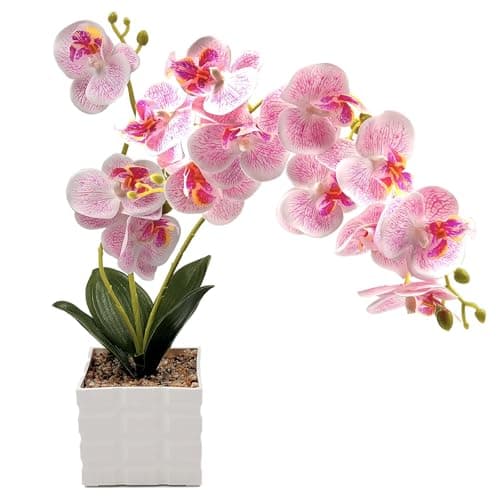 Image of Daily Treasures 13-Heads Artificial Orchid Flower in Pot,50cm Faux Butterfly Orchid with Plastic Vase,Potted Pink Flowers,Silk Flowers Phalaenopsis Indoor Decor for Home Table Centerpiece(Purple)
