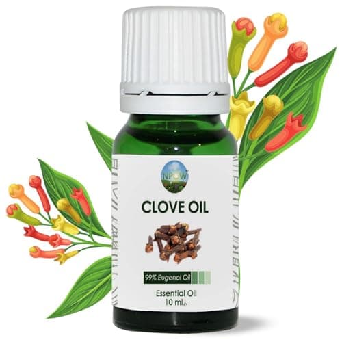 Image of NPOW Clove Oil for Toothache Pain Relief for Adult – Oil of Cloves for Toothache Natural Dental Solution, Clove Bud Oils, Cloves Extract for Oral Care, Tooth Pain Relief and Dental Health - 10ml