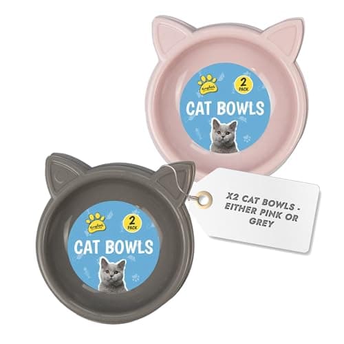 Image of Kingdom Cat Bowls - 2 Pack May Receive in Assorted Colors of Pink, Grey and Blue