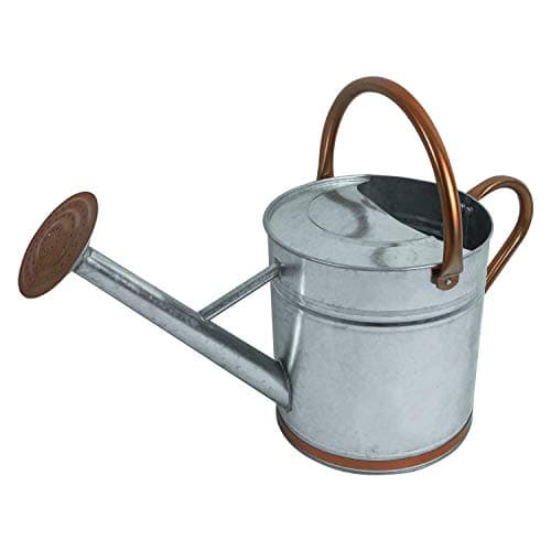Image of Woodside Silver 9L Metal Garden and Plant Watering Can with Rose
