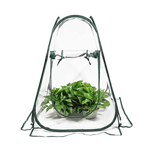 Image of WAIZHIUA Mini Greenhouse Portable PVC Pop Up Grow Tent Greenhouse Gardening Plant Cover Indoor Outdoor Grow House with 4pcs Stakes for Garden Backyard Patio Plant Cold Frost Protector(70x70x80cm)