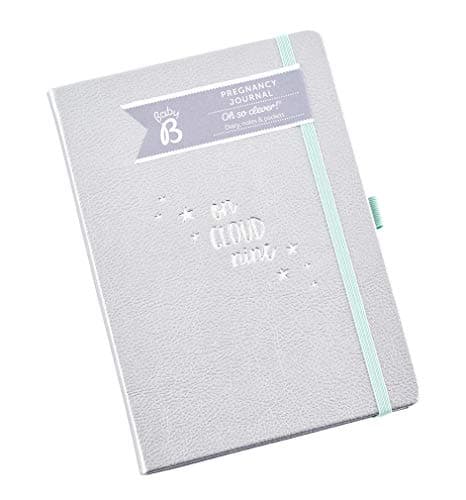 Image of Baby B Pregnancy Journal from 4 weeks - Silver
