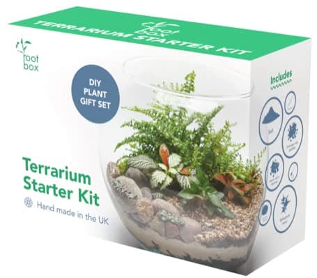Image of Root box XL Terrarium Plant Kit in scented giftbox | Succulents, Bonsai, Fittonia, Cactus | Unique DIY GIFT for XMAS Anniversaries Birthdays
