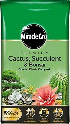 Image of Miracle-Gro 2 x Premium Cactus, Succulent & Bonsai Compost 6L Easy Carry Pack