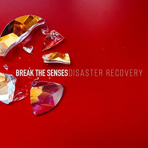 Image of Disaster Recovery (Single Version)