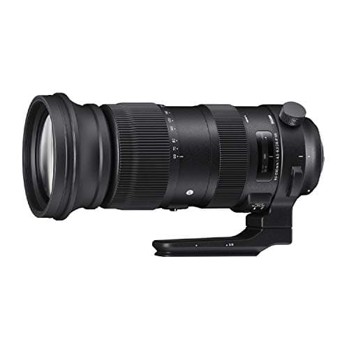 Image of Sigma 60-600mm F4.5-6.3 DG OS HSM | S Canon Fit, 730954 Black