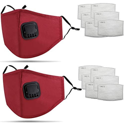 Image of DualVertex Breathable Cotton Face Mask With Filter - Washable & Reusable With Adjustable Ear Straps, Nose Wire, Valve and Replaceable Filters