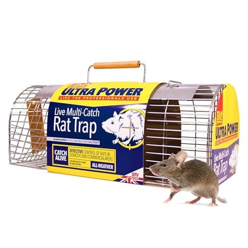 Image of The Big Cheese Free to Go Multi-Catch Rat Cage Trap Poison-Free Welfare Friendly British Grain Safe Around Children and Pets Monitor Infestations Self-Setting