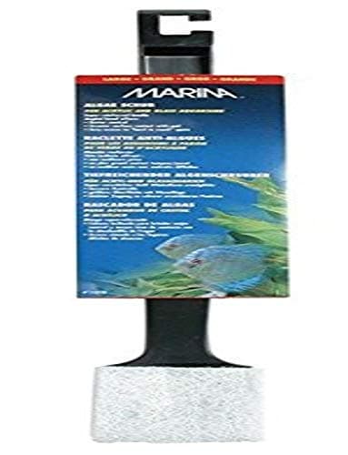 Image of MARINA (A1018) Algae Scrub - Large