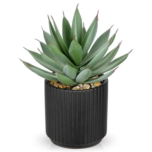 Image of Hollyone Fake Succulents in Black Ceramic Pot, 8.6'' Frosted Artificial Agave Shaka Zulu, Faux Plants Indoor Decorative Greenery for Home Decor, Office Desk, Windowsill, Bathroom, Shelf Decorations
