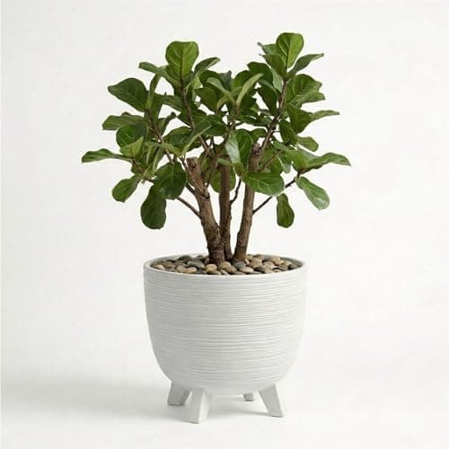 Image of GEEZY White Plant Pot with Legs, 39.5 cm - Weather Resistant Indoor & Outdoor Planter - Modern Textured Flower Pot for Living Room, Garden & Patio