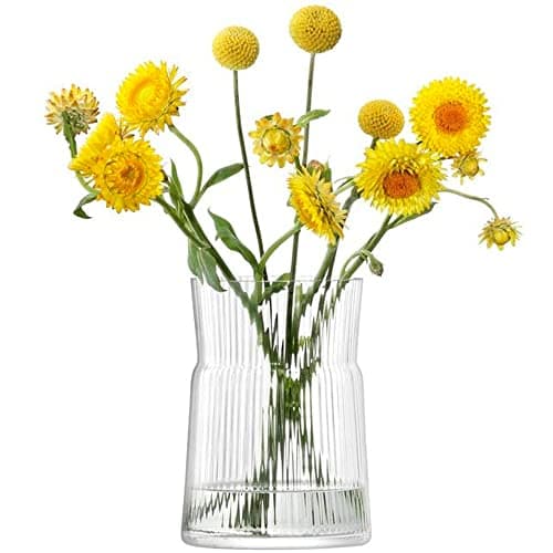 Image of LSA Gio Line Lantern/Vase H18.5cm Clear| 1 Unit | Mouthblown & Handmade Glass | GI30