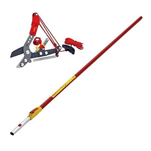 Image of Wolf-Garten Adjustable Anvil Tree Loppers RCVM Garden & ZMV4 Telescopic Handle