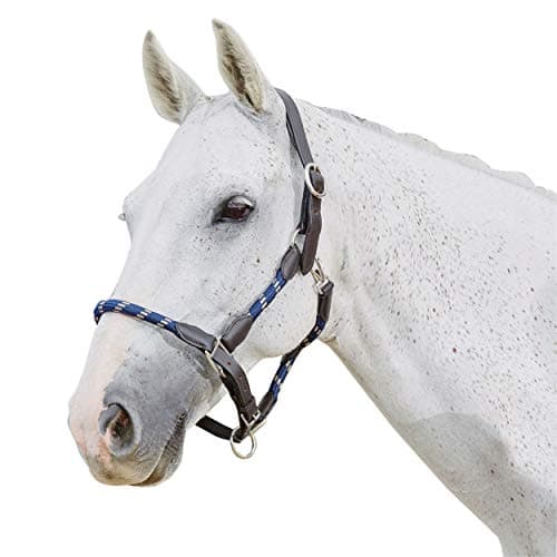 Image of Kincade Leather Rope Headcollar Navy/Brown Full