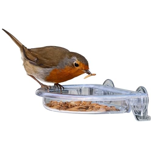 Image of Small Easy Clean Garden Window bird feeders - Jacobi Jayne® I Love Robins® TreatTray™ Window Bird Feeder - no mess stick on window bird feeder for garden birds