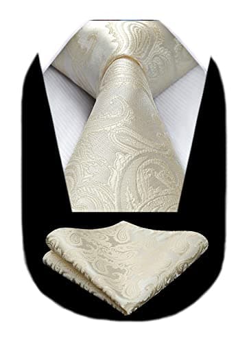 Image of HISDERN Paisley Beige Ties For Men Wedding Tie Handkerchief Floral Jacquard Champagne Necktie and Pocket Square Set for Party Business