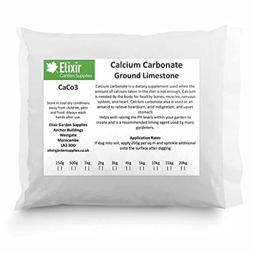 Image of Calcium Carbonate 1kg Limestone Flour for Reptiles or Poultry