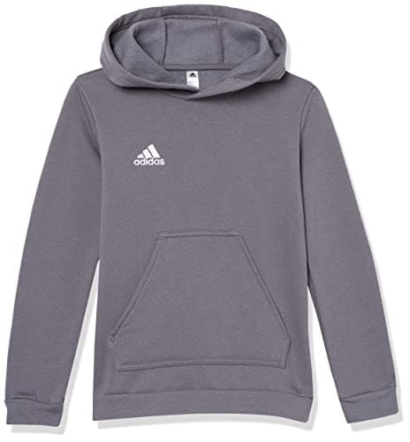 Image of adidas Kids' Entrada 22 Sweat Hoodie, Team Grey, Small