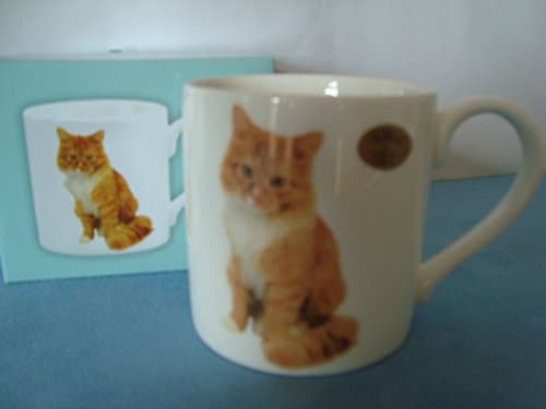 Image of Ginger Cat Mug - Standard Size, China Construction