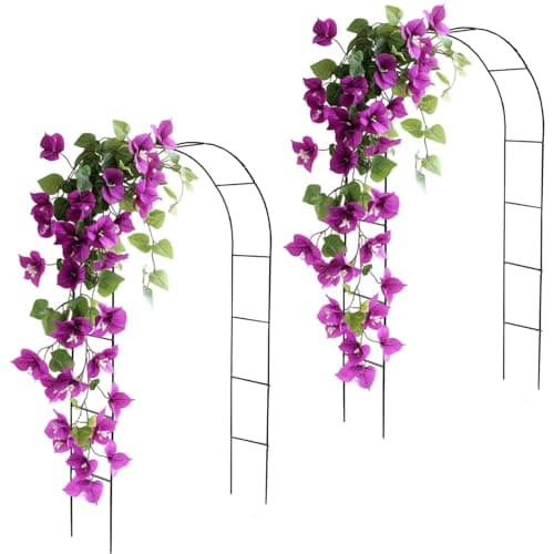 Image of DIVCHI Garden Arch Black Metal – Heavy-Duty Steel Frame Support for Climbing Plants, Roses, Vegetables, Outdoor Decoration, and Archway Decor – (2 X Garden Arches)