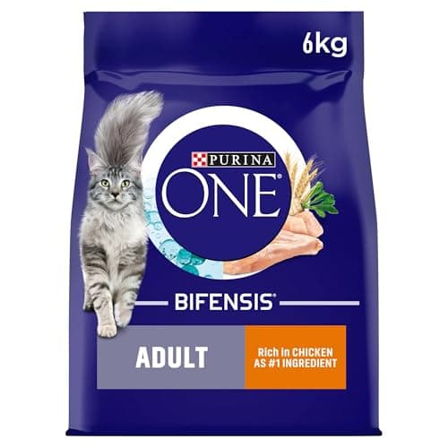 Image of PURINA ONE Chicken Dry Cat Food 6kg