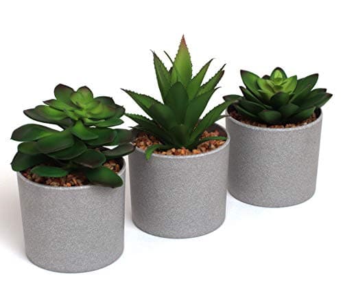 Image of EB Designs Set of 3 Artificial Succulent Plants – Fake Greenery in Grey Pots with Pebbles – Decorative Faux Plants for Home, Office, Indoor & Outdoor Use