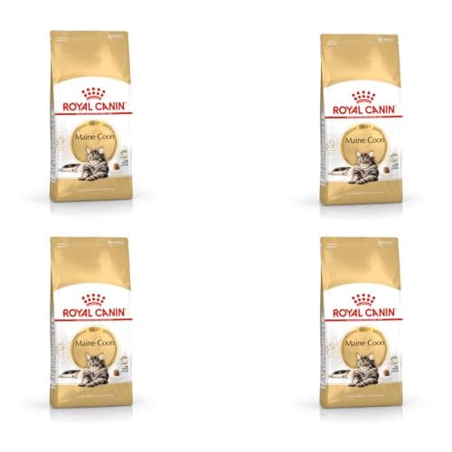 Image of Royal Canin Maine Coon Adult Cat Food 400g (Pack of 4)
