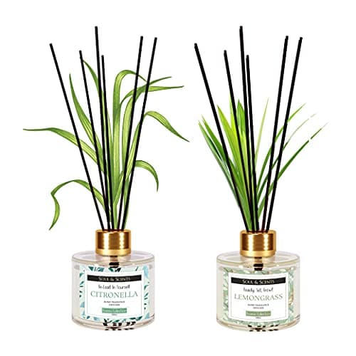 Image of Soul & Scents Citronella & Lemongrass Reed Diffuser Set - 120ml with 6 Fiber Sticks Each | Stress Relief & Aromatherapy | Scented Air Freshener for Home, Bedroom, Bathroom & Office | Pack of 2