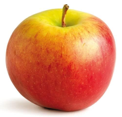 Image of Apple Trees, 'Sunset', Tall Plants in 10 Litre Pots, 1.4-1.6 Metre Height, Apples, Garden Ready and Ready to Plant, Premium Quality Fruit Trees (2)