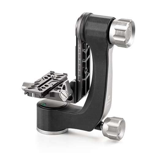 Image of Benro GH2N Gimbal Head